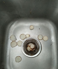 ���۸��᡿����ͷ��ô��Ų���Ū�������������������಻�ܳ�!