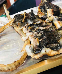 �������õļ��ݷ�ζ �տ�����һ��