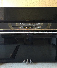 ���а�Ǩ�����ٴ�����YAMAHA��������١�С���ٴ�����