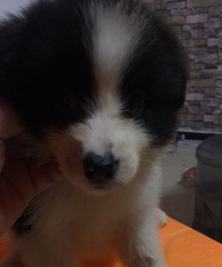 ��ϲ������