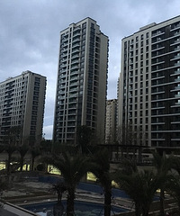 ����ȥ����������ˮ���о��̻��ӽ�β����