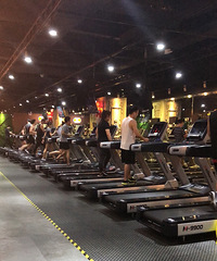 ��｡����Ӣ��