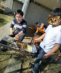 �������嵥��87�꽷��GGƽ����ƣ�����Ǩ