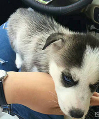 91���ӳ����Ϳ��ͣ��Ҷ���һ���޹�һ������