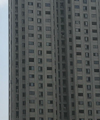 �򻪳Ƿ��ӵ���������������𣿵�����ô��