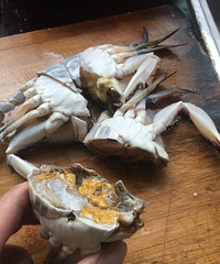 ˮ���г���������19Ԫһ��ʣ�ʮһ���˳Ե�����