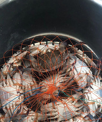 ˮ���г���������19Ԫһ��ʣ�ʮһ���˳Ե�����