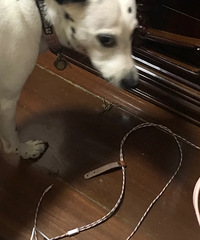 ���Ӵ�ս�䷹��