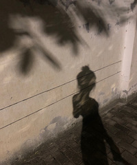 97�꽷�����ӣ�����10w��ϲ���˶�������