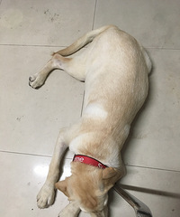 ����6�´��ĸ��������