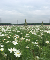 �������ã�����û�ܵȵ��Ǹ���