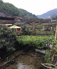 ����ʯͷ��