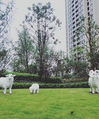 �콻���� С���̻�ʵ��