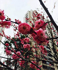 �ҵ�С�������� ��Ȼ�ضβ��˵�