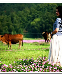 �����İ�����88�����ҵ�����ӣ�����163