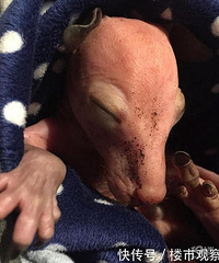 �����ֳ�������������ϣ����ͻȻ������ֻС�������