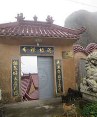 绿心山脉休闲徒步:林家岙、丫髻岩、老鼠沿岗、黄毛山环走