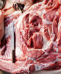 ���۸��᡿�������������һ���ˣ�