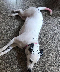 �������ڻ���ʯ�������