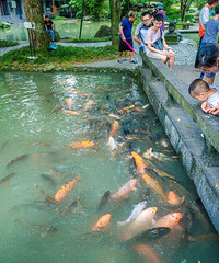 �������ռ�No.27��������-����