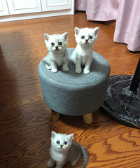 ���㱦���Ҳ�ʺ��