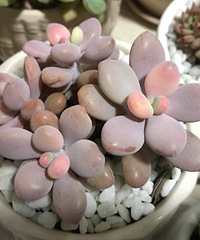 һ������һ����