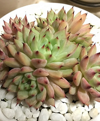 һ������һ����