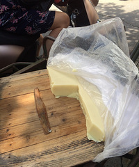 �ⶫ�����ƺܶ�С����û�Թ����еĿ��ܼ���û����