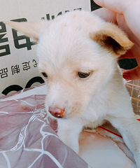 ������͹���