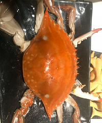 ���۸��᡿10Ԫһֻ������з��60Ԫһֻ����з�����ϲ���ĸ�