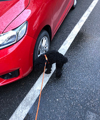 ̩�ϳ��ﹷ�޳��������ֺ�̩��