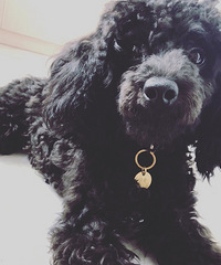 ̩�ϳ��ﹷ�޳��������ֺ�̩��