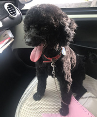 92���������ӣ�ϲ���������Ҹ��Ը���͵�����