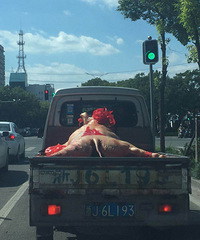 ������ϲ������ ���ĵ�����