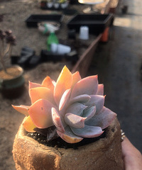 ���⿪ʼ�����ˣ�̨�������ߵĶ���ָ����