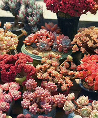 ���⿪ʼ�����ˣ�̨�������ߵĶ���ָ����