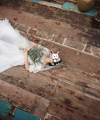 ��2018ϲ���Ž���ռǡ�