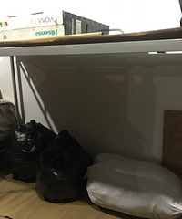 ѧУ�������������˳���