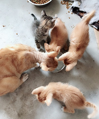 Сè����ͣ�������13362653697