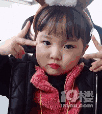 ���������н�������ɹ������������ȵ���Ƭ