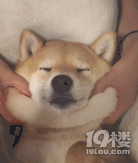 ���������н�������ɹ������������ȵ���Ƭ