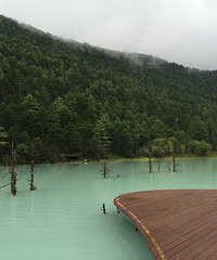 全国旅行第二站玉龙雪山 和相识一天的妹子一起
