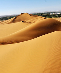 ����8���ж�������ľ���п˶�