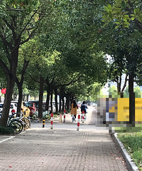 ���۸��᡿���˲����ʵ��·���Ϊʲôû�����ѣ�