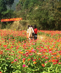 ���������կ�Ŵ� ���ʻ���Χ�Ĵ�ׯ