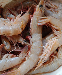 ��������Ϻ�ܼ� ����Ҳ�ܺ���