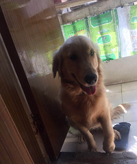 Ѱ������ʿ