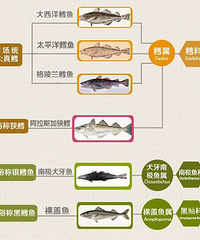 倾囊相授 零基础也能做出来的酒店级葱油鳕鱼