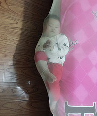打滚的biu又掉床 被蚊帐救了