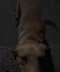 ˭�ҵ��������ࣿ����